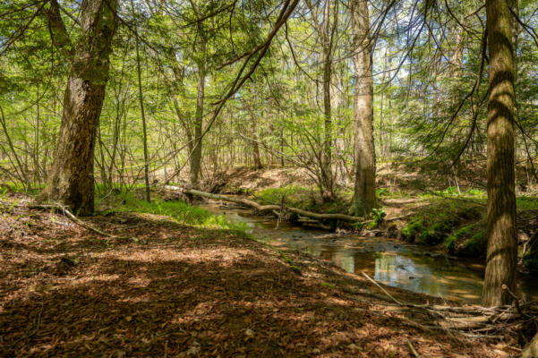 LOT 6D TURKEY HOLLOW RD, SIGEL, PA 15860, photo 3 of 11