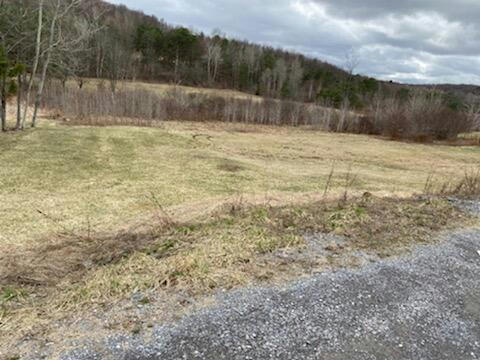 000 BOWMANS HILL RD, CLEARFIELD, PA 16830, photo 3 of 3