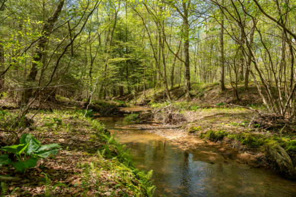 LOT 6D TURKEY HOLLOW RD, SIGEL, PA 15860, photo 5 of 11