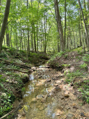 LOT 1 GOBBLER RIDGE RD, SIGEL, PA 15860, photo 2 of 13