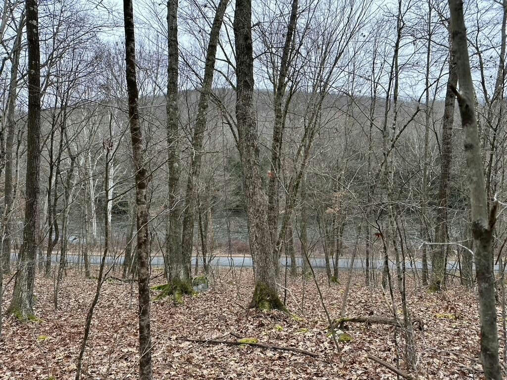 LOT 1 RIVER RD, SIGEL, PA 15860, photo 1 of 24