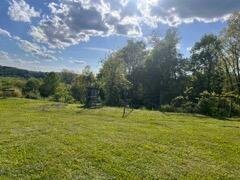 466 TONY HILL RD, COOLSPRINGS, PA 15730, photo 5 of 11